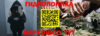 мет Новозыбков